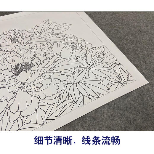 【有步骤、大彩图】郑玲玲横幅工笔画白描底稿《富贵长寿图》牡丹初学者临摹花鸟线稿ZL90 商品图4