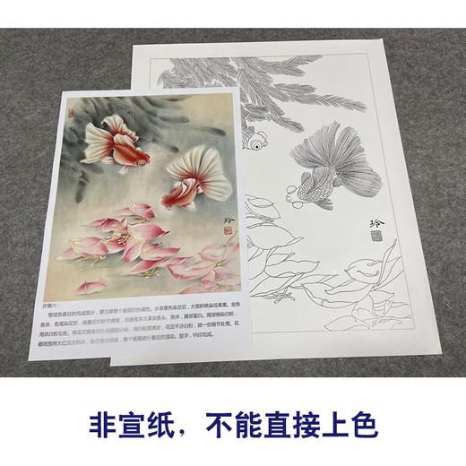 有步骤大彩图郑玲玲工笔花鸟画白描稿金鱼荷花金玉满堂斗方小品册页zl