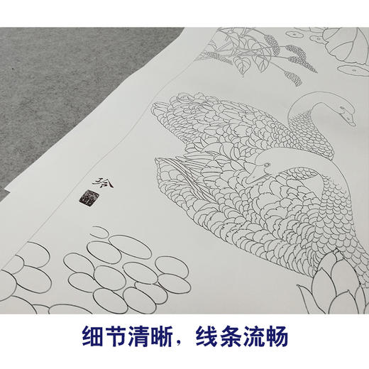 【有步骤、大彩图】郑玲玲工笔画白描底稿四条屏荷花图《春夏秋冬》ZL98 商品图4