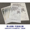 【有步骤、大彩图】郑玲玲工笔画白描底稿《金玉满堂》金鱼荷花初学者临摹花鸟线稿ZL47 商品缩略图1