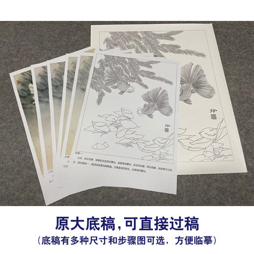 有步骤大彩图郑玲玲工笔花鸟画白描稿金鱼荷花金玉满堂斗方小品册页zl