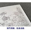 【有步骤、大彩图】郑玲玲工笔画白描底稿小品《春和景明》牡丹锦鸡初学者临摹花鸟线稿ZL58 商品缩略图4