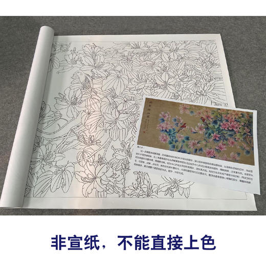 【有步骤、大彩图】郑玲玲横幅工笔画白描底稿《姹紫嫣红图》紫荆花初学者临摹花鸟线稿ZL94 商品图2