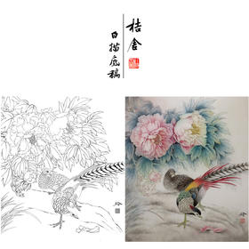 【有步骤、大彩图】郑玲玲工笔画白描底稿《花开锦绣》牡丹锦鸡初学者临摹花鸟线稿ZL56