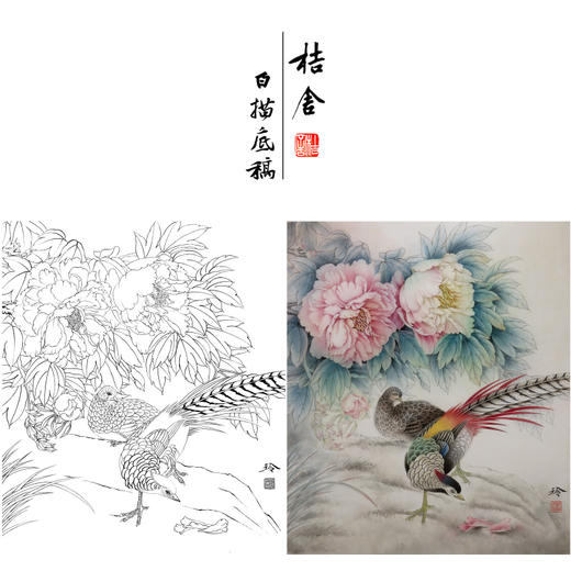 【有步骤、大彩图】郑玲玲工笔画白描底稿《花开锦绣》牡丹锦鸡初学者临摹花鸟线稿ZL56 商品图0