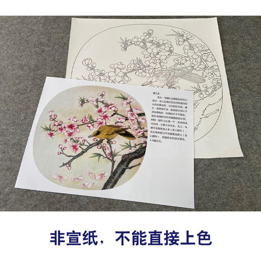 【有步骤、大彩图】郑玲玲工笔画白描底稿小品《飞花轻似梦》桃花黄鹂初学者临摹花鸟线稿ZL69 商品图2