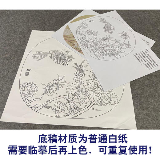 【有步骤、大彩图】郑玲玲工笔画白描底稿小品《春暖花开》桃花初学者临摹花鸟线稿ZL70 商品图3