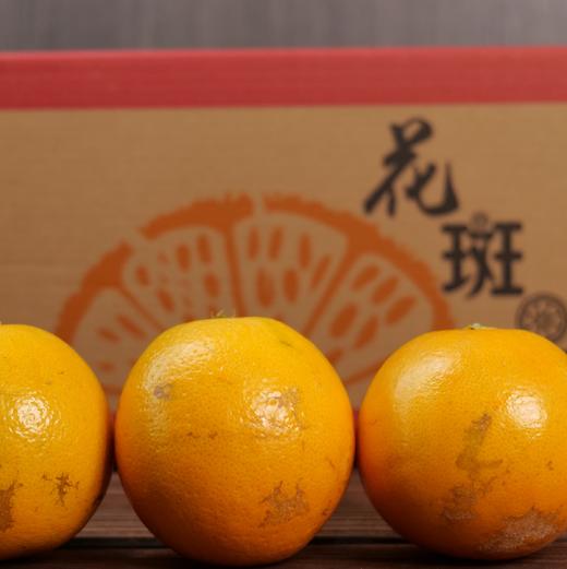 褚橙花斑果褚橙庄园出品口感香甜细腻清甜多汁礼盒装5kg10斤箱3种规格