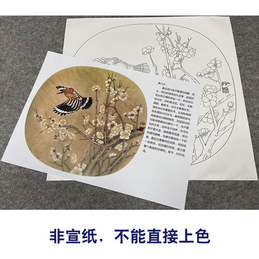 【有步骤、大彩图】郑玲玲工笔画白描底稿小品《戴胜迎春图》梅花戴胜鸟初学者临摹花鸟线稿ZL72 商品图2