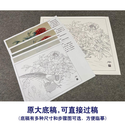 【有步骤、大彩图】郑玲玲工笔画白描底稿《富贵锦长》牡丹锦鸡初学者临摹花鸟线稿ZL59 商品图1