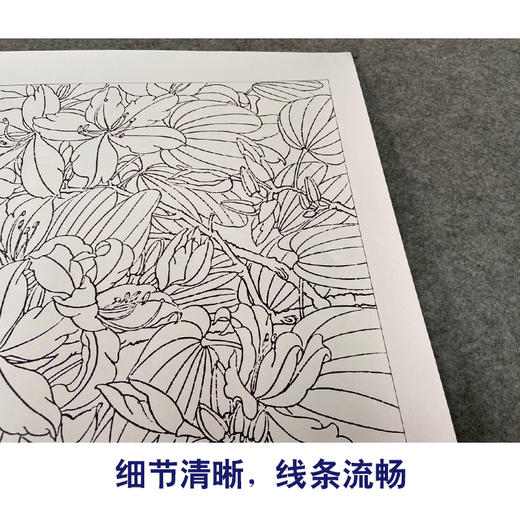 【有步骤、大彩图】郑玲玲横幅工笔画白描底稿《姹紫嫣红图》紫荆花初学者临摹花鸟线稿ZL94 商品图4
