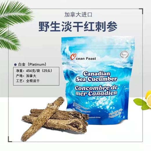 ocean feast加拿大阿拉斯加红刺参454g/袋（一般贸易） 商品图0