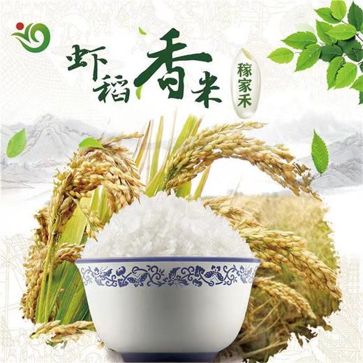 稼家禾虾稻香米5kg 商品图1