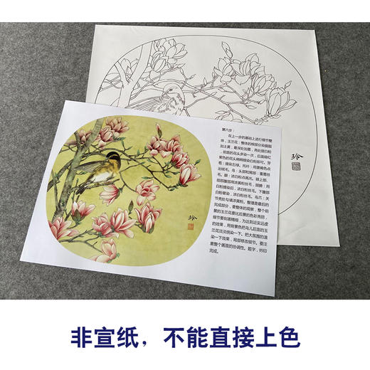 【有步骤、大彩图】郑玲玲工笔画白描底稿小品《黄眉玉兰图》初学者临摹花鸟线稿ZL64 商品图2