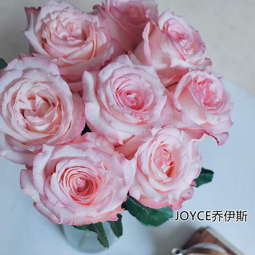 肯尼亚进口玫瑰花JOYCE乔伊斯 商品图0