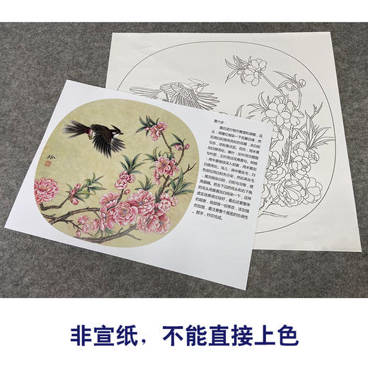 【有步骤、大彩图】郑玲玲工笔画白描底稿小品《春暖花开》桃花初学者临摹花鸟线稿ZL70 商品图2