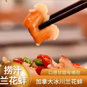 捞汁麻辣兰花蚌【周二店休】
