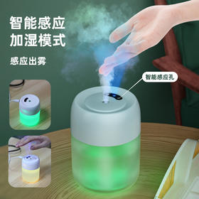 【新款自动感应USB加湿器】消毒酒精喷雾器 车载家用便携静音加湿补水仪