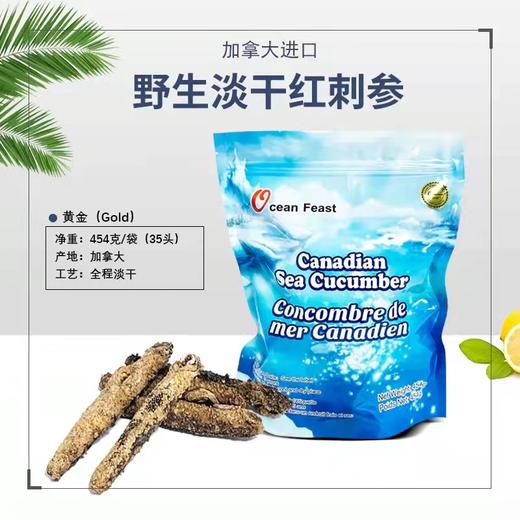 ocean feast加拿大阿拉斯加红刺参454g/袋（一般贸易） 商品图5