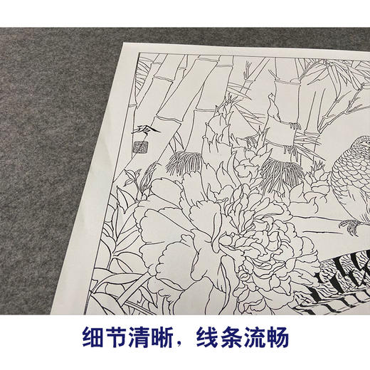 【有步骤、大彩图】郑玲玲工笔画白描底稿小品《林间依恋》竹林锦鸡初学者临摹花鸟线稿ZL61 商品图4
