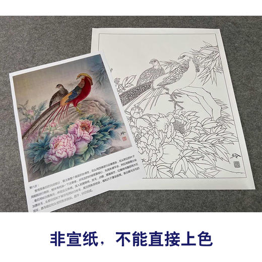 【有步骤、大彩图】郑玲玲工笔画白描底稿《福贵祥和图》牡丹锦鸡初学者临摹花鸟线稿ZL52 商品图2