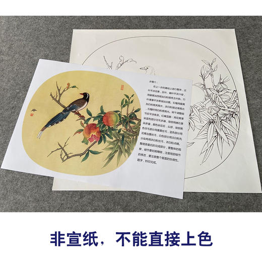【有步骤、大彩图】郑玲玲工笔画白描稿圆形小品《临风独秀》石榴初学者临摹花鸟线稿ZL87 商品图2