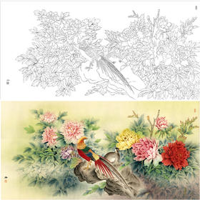 【有步骤、大彩图】郑玲玲横幅工笔画白描底稿《祥辉锦羽图》锦鸡初学者临摹花鸟线稿ZL96