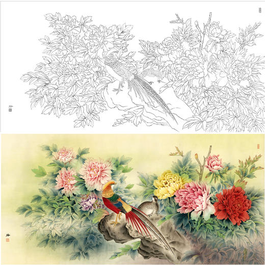 【有步骤、大彩图】郑玲玲横幅工笔画白描底稿《祥辉锦羽图》锦鸡初学者临摹花鸟线稿ZL96 商品图0