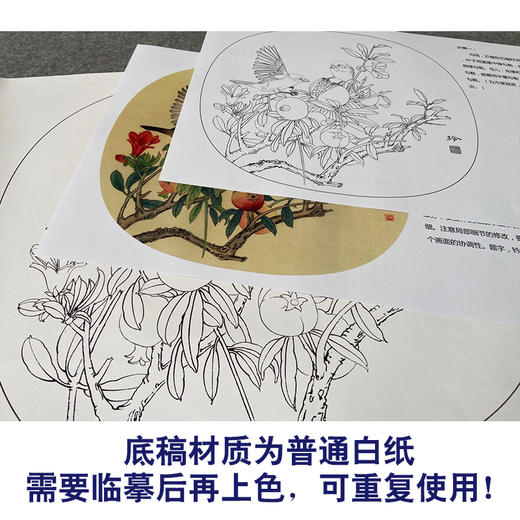 【有步骤、大彩图】郑玲玲工笔画白描底稿小品《硕果满枝头》石榴初学者临摹花鸟线稿ZL84 商品图3