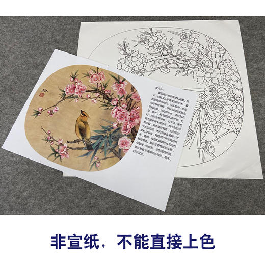 【有步骤、大彩图】郑玲玲工笔画白描底稿小品《太平桃花图》初学者临摹花鸟线稿ZL71 商品图2