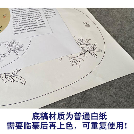 【有步骤、大彩图】郑玲玲工笔画白描底稿小品《逸韵悠然》石榴初学者临摹花鸟线稿ZL86 商品图3