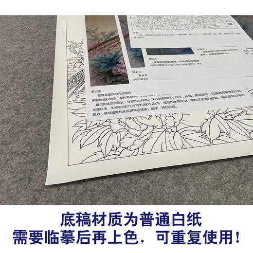 【有步骤、大彩图】郑玲玲工笔画白描底稿《福贵祥和图》牡丹锦鸡初学者临摹花鸟线稿ZL52 商品图3