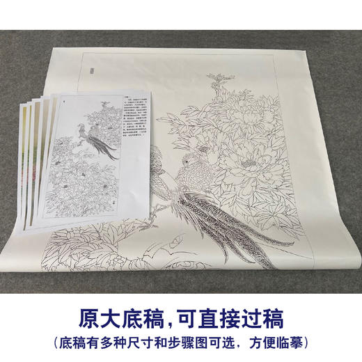 【有步骤、大彩图】郑玲玲工笔画白描底稿《 锦羽祥瑞》锦鸡牡丹初学者临摹花鸟线稿ZL97 商品图1