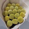 配花配草黄金球18支 商品缩略图3