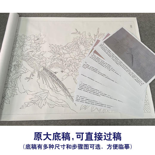 【有步骤、大彩图】郑玲玲横幅工笔画白描底稿《祥辉锦羽图》锦鸡初学者临摹花鸟线稿ZL96 商品图1