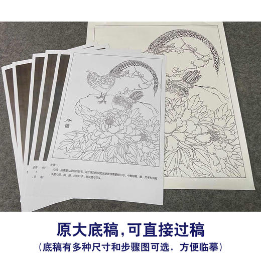 【有步骤、大彩图】郑玲玲工笔画白描底稿《暮暮朝朝》牡丹锦鸡初学者临摹花鸟线稿ZL53 商品图1