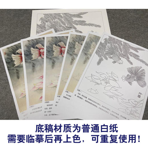 有步骤大彩图郑玲玲工笔花鸟画白描稿金鱼荷花金玉满堂斗方小品册页zl