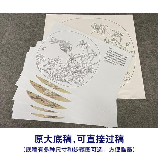 【有步骤、大彩图】郑玲玲工笔画白描底稿小品《春暖花开》桃花初学者临摹花鸟线稿ZL70 商品图1