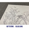 【有步骤、大彩图】郑玲玲工笔画白描底稿《喜顺图》梅花小品初学者临摹花鸟线稿ZL73 商品缩略图4