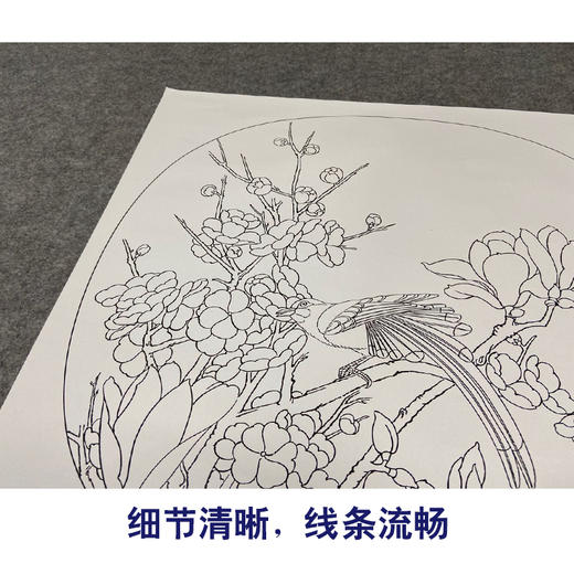 【有步骤、大彩图】郑玲玲工笔画白描底稿《喜顺图》梅花小品初学者临摹花鸟线稿ZL73 商品图4
