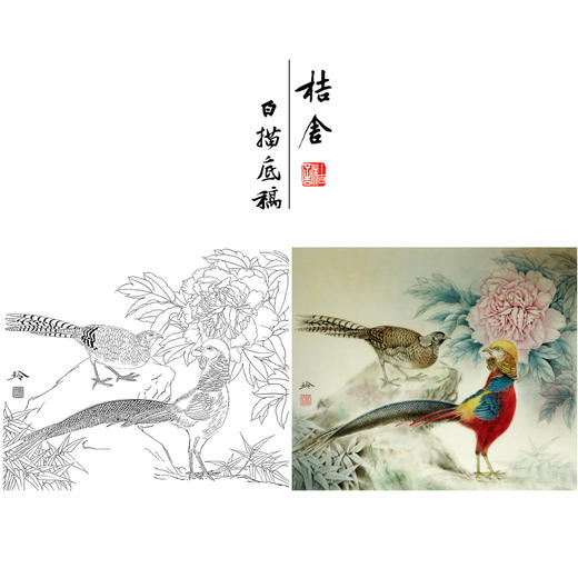 【有步骤、大彩图】郑玲玲工笔画白描底稿小品《雨后听竹声》锦鸡初学者临摹花鸟线稿ZL62 商品图0