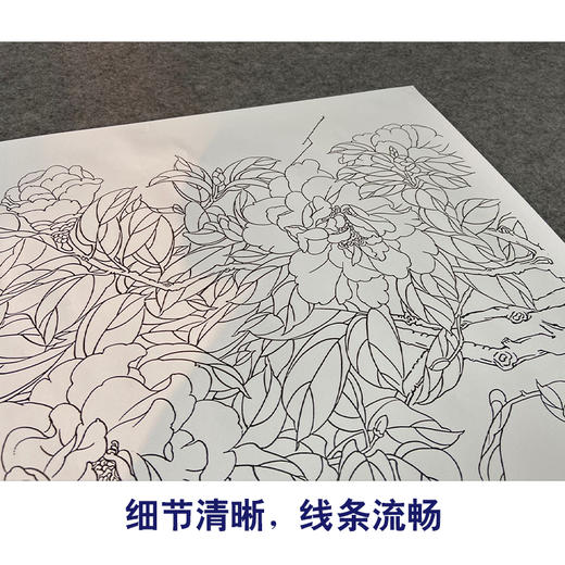 【有步骤、大彩图】郑玲玲横幅工笔画白描底稿《锦绣前程》牡丹锦鸡初学者临摹花鸟线稿ZL91 商品图4
