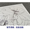 【有步骤、大彩图】郑玲玲工笔画白描底稿小品《雨后新荷》荷花蜻蜓初学者临摹花鸟线稿ZL82 商品缩略图4