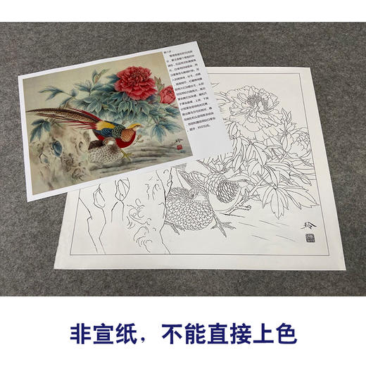 【有步骤、大彩图】郑玲玲工笔画白描底稿《富贵锦长》牡丹锦鸡初学者临摹花鸟线稿ZL59 商品图2