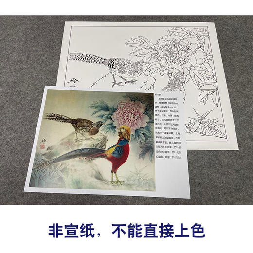 【有步骤、大彩图】郑玲玲工笔画白描底稿小品《雨后听竹声》锦鸡初学者临摹花鸟线稿ZL62 商品图2