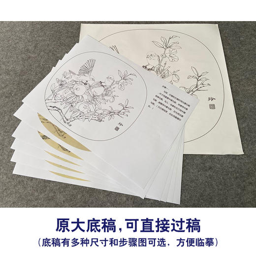 【有步骤、大彩图】郑玲玲工笔画白描底稿小品《硕果满枝头》石榴初学者临摹花鸟线稿ZL84 商品图1