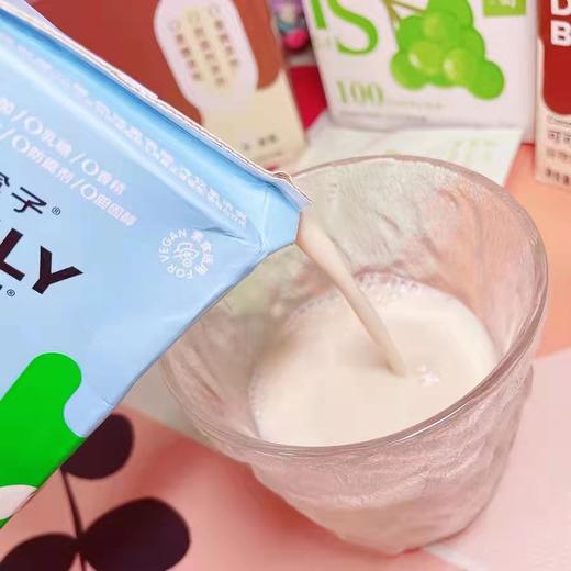 丨生态丨燕麦奶谷物饮料 原味和坚果味 无任何化学添加 商品图6