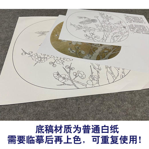 【有步骤、大彩图】郑玲玲工笔画白描底稿小品《戴胜迎春图》梅花戴胜鸟初学者临摹花鸟线稿ZL72 商品图3