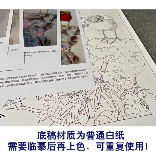 【有步骤、大彩图】郑玲玲工笔画白描底稿《聆听花语》牡丹锦鸡初学者临摹花鸟线稿ZL55 商品图3