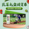 全年使用 蔬菜礼盒券 12种新鲜时令蔬菜新鲜现采  提货方便 京津冀包邮 商品缩略图0